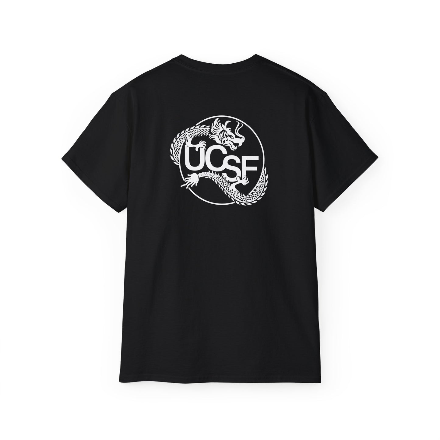UCSF Dragon