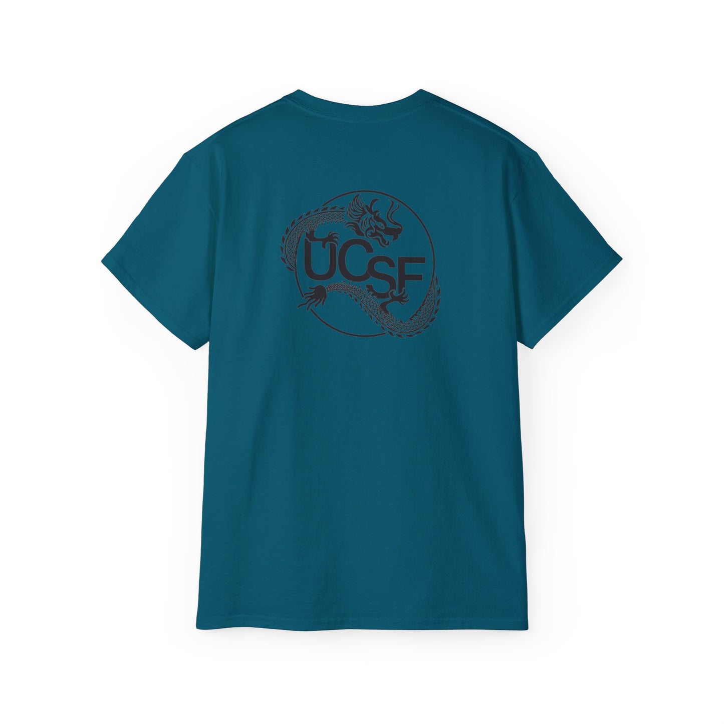 UCSF Dragon