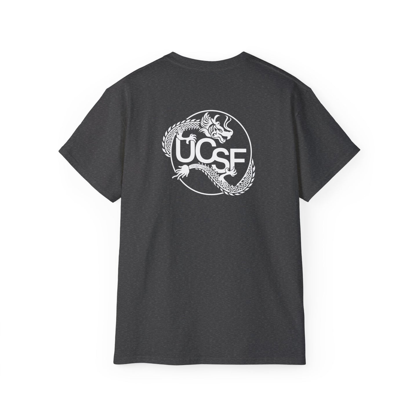 UCSF Dragon
